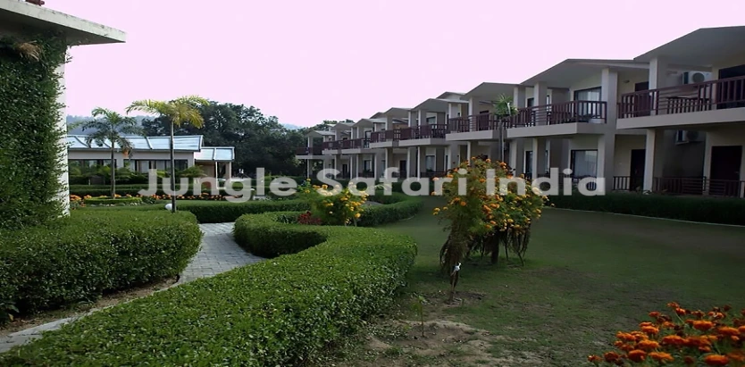 Corbett Rattan Elwood Resort